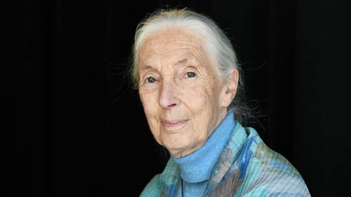 Jane Goodall has died at 91