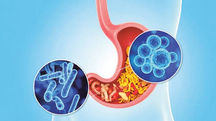 A healthier gut may help improve depression and anxiety: Study