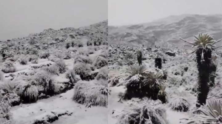 En fotos | Imponente nevada sorprendió a turistas en el Parque Nacional Natural El Cocuy