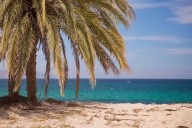 Playa El Sargento, joya virgen de Baja California Sur