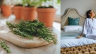 Usos y beneficios de hervir romero en casa para mejorar el ambiente y la salud del hogar