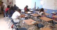 State Board of Education postpones vote to begin removing DEI language from state standards, Superintendent Horne critical of decision