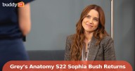 Grey’s Anatomy Season 22 Brings Sophia Bush Back as Cass for Episode 3
