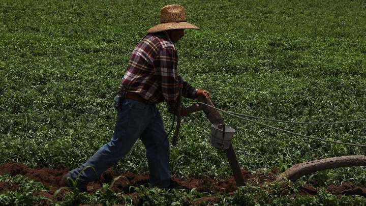 Sader Chihuahua asegura que ningún agricultor quedará fuera del PEUA