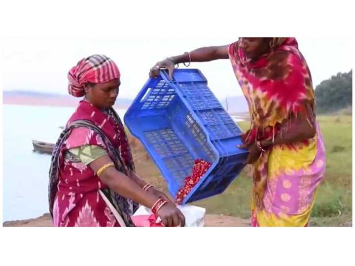 Popularity of Indian coffee finds mention in PM’s ‘Mann ki Baat’