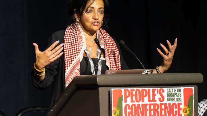 Macomb Township lawyer, activist says she was freed from Israeli jail