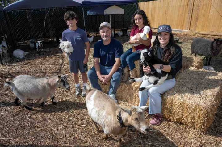 An Altadena family’s animal farm marks return