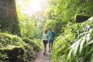 Tras el caso Cordeyro, reabren las Yungas de San Lorenzo al turismo