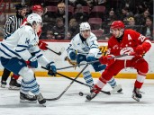 Soo Greyhounds visit Brampton Steelheads: live blog