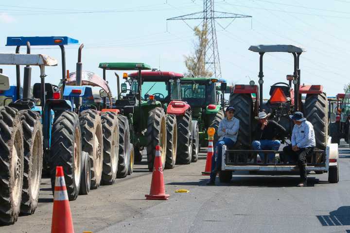 Productores anuncian protestas tras desacuerdos en precio de garantía del maíz