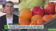 Millones de ciudadanos en EE.UU. quedarán sin subsidios alimentarios por el cierre del Gobierno