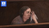 Mushroom murderer Erin Patterson's lawyer announces intention to appeal guilty verdicts
