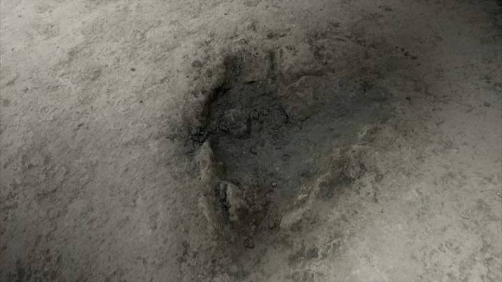 Nuevas huellas de dinosaurios descubiertas en Oxfordshire