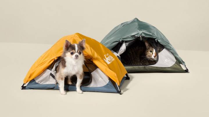 REI Debuts Tiny Camping Tent for Your Dogs and Cats