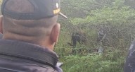 En estado de descomposición localizan a «El Baquero»