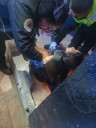 Ataque armado en chelería de Ecatepec deja tres muertos y una persona lesionada