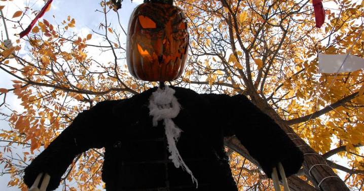 Scarecrow statue set to unveil at 20th annual Stevensville Scarecrow Festival