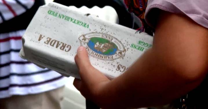 How lapse in SNAP benefits could impact Palm Beach County and Treasure Coast