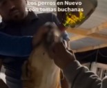 Hombres obligan a beber whisky a un perrito en Nuevo León