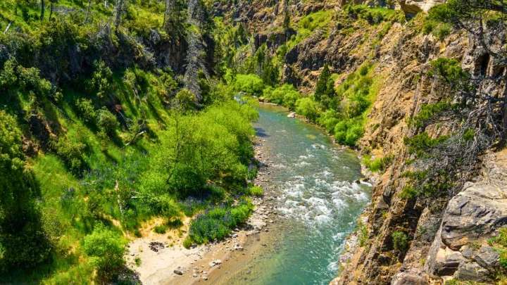 Turismo aventura: el bosque de película en medio de un pueblo