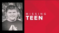 Amherst Police ask for help finding missing 17
