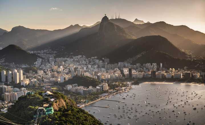 Brazil government urged to remove illegal cattle ranches devastating indigenous lands