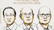 Premio Nobel de Química 2025 a tres científicos por desarrollar una nueva estructura molecular