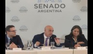 Tensión en el Congreso: diputados chocaron por Gaza y la salida de Carlos Guberman