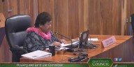 Maui community mourns loss of councilmember Tasha Kama