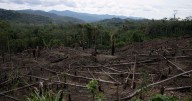 La deforestación afecta los "ríos voladores" que hidratan al Amazonas, señala estudio