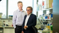 Biotech 
                                              Premium
                                            PYC Therapeutics admits board blow