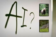 AI Animal 'Attack' Videos Are Fooling Facebook Users