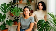 Feng Shui: las 3 plantas que simbolizan prosperidad y armonía en el hogar