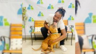 Mississippi Dog Mourns Late Owner Until His Son Arrives At Shelter To Take Him Home