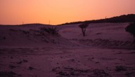 Niño de cuatro años está desaparecido en el desierto de Australia: fue visto por última vez jugando con arena