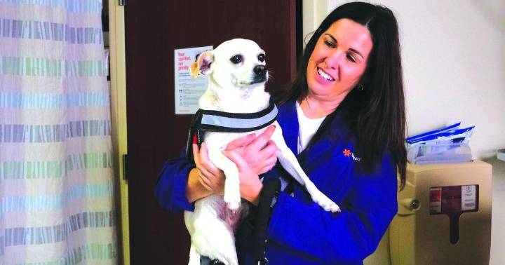 Mesa woman’s pup pleases patients