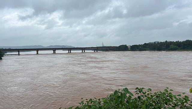 Netravathi only river in K'taka fit for treated domestic use, others unfit: Pollution control board