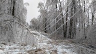 FEMA rejects Michigan's appeal for additional disaster aid following 2025 ice storm