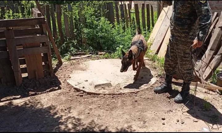 Otro femicidio: ahora en Chaco hallan muerta a una joven de 20 años