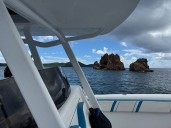 Blake Dowling: Diver down, snorkel up and other eternal truths
