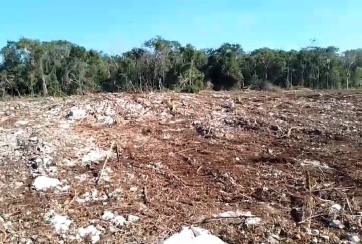 Ecocidio en zona arqueológica de Kinchil