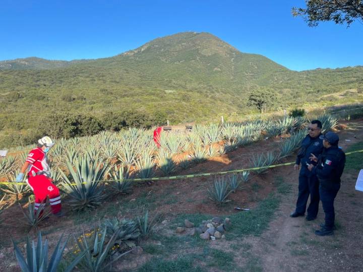 Contadora muere en volcadura de auto tras degustación de mezcal en San Dionisio Ocoteoc, #Oaxaca