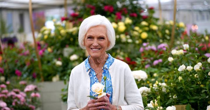 Mary Berry shares truth of Great British Bake Off as she admits 'I didn't want drama'