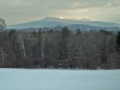 Juvenile fatally shot in Pittsfield