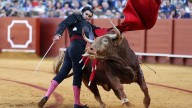Indignación por la más que probable baja de Morante en Zaragoza: "Soy muy 'morantista' pero no tonto ni palmero"