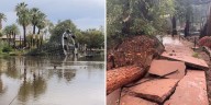 Phoenix Zoo to close temporarily after storms cause extensive damage