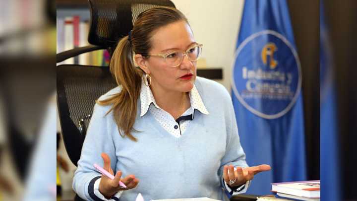 Tambalea el nombramiento de Cielo Rusinque: Consejo de Estado fallará anticipadamente la demanda en su contra