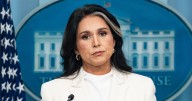 Director of National Intelligence Tulsi Gabbard’s Secret Anti-Leaking Crusade Backfires Spectacularly