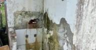 Los baños que son una tristeza en escuela rural de Caldas, comunidad alista campaña en busca de materiales