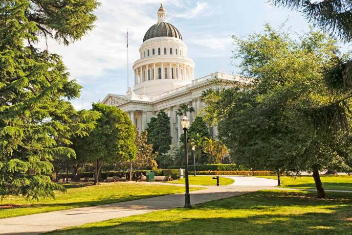 75-Year-Old Trees Are Emitting a 'Vomit'-Like Stench at This California Park